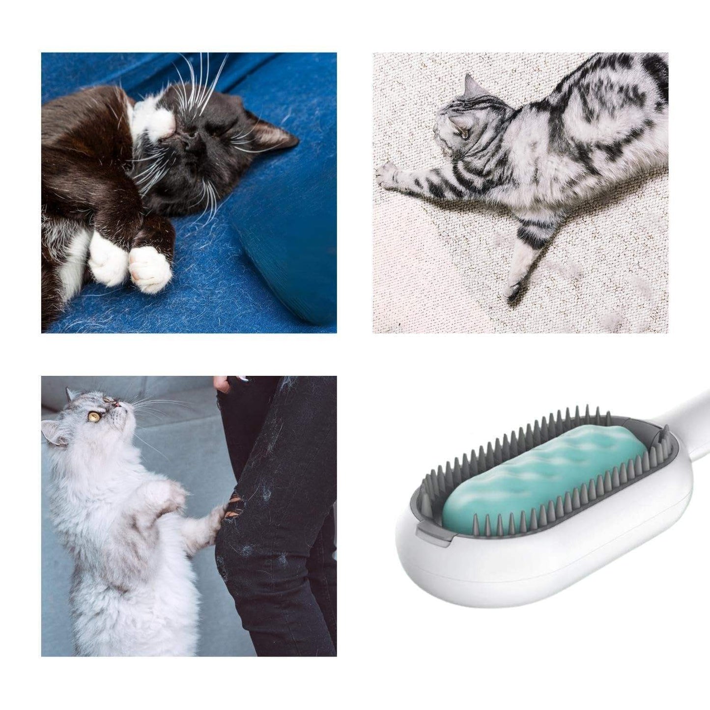 Cat Hair Brush With Water, Sticky Brush For Cats, 4 In-1 Cat & Dog Grooming Brush With Water Tank